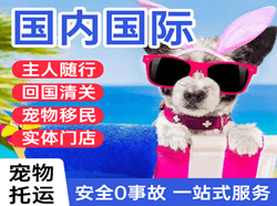 新源那拉提机场快运国际宠物托运 【国